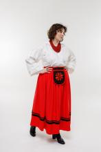 Кишеня Зірка червона Кишеня Зірка червона