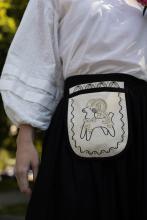 Кишенька Баранець Кишенька Баранець