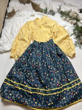 Двостороння спідниця стандарт (Індивідуальне пошиття) Двостороння спідниця стандарт (Індивідуальне пошиття)